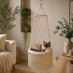 The Cloud Pet Perch